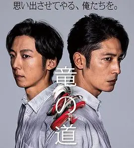 《龙道双面复仇者》：双重身份下的爱恨纠葛，硬汉复仇燃爆肾上腺素！