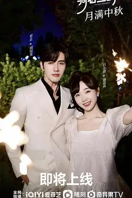 《骑着鱼的猫》：脑洞大开的喜剧之旅！看一只猫如何颠覆你的想象！