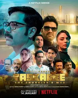 《海关英雄：走私暗战》：揭秘港口迷雾，正义与欲望的终极较量！