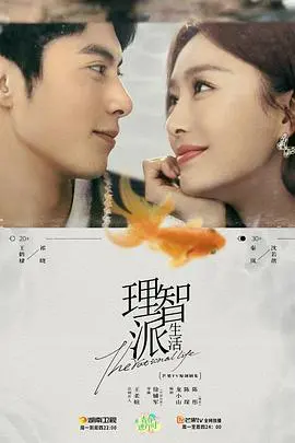 《理智派生活（番外）：温暖延续，职场爱情新篇章！秦岚、林雨申情感升温，解锁现实主义治愈力