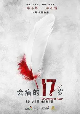 《会痛的17岁》：青春疼痛的真实写照，一次关于成长与和解的心灵救赎之旅