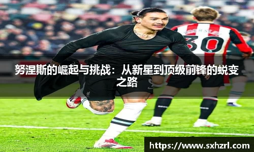 威廉希尔中文版