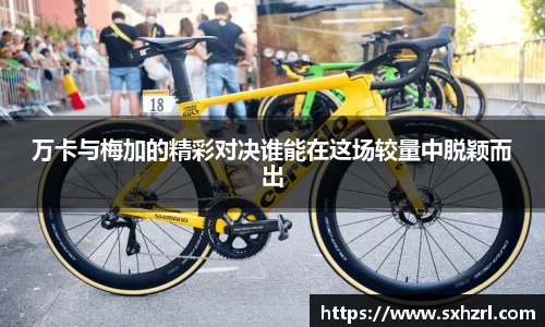 威廉希尔中文版